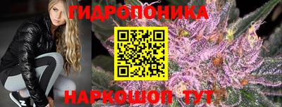 гидра Можайск