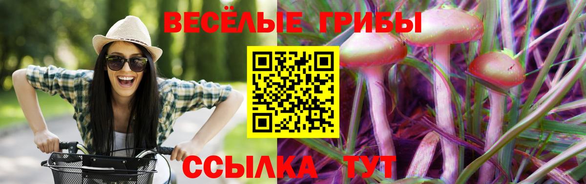 Псилоцибиновые грибы MAGIC MUSHROOMS Рязань